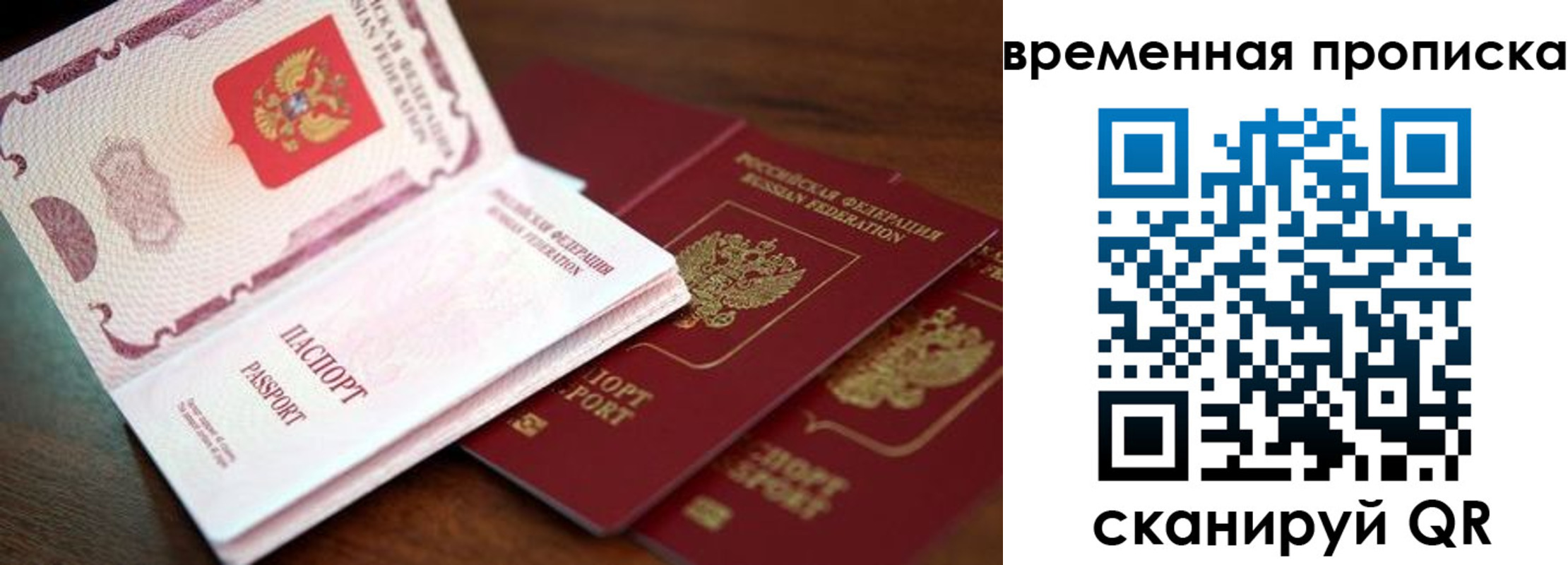 прописка штамп в ЕАО